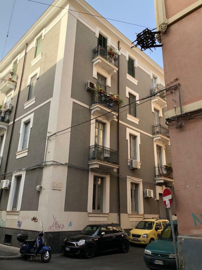Montello & CTA